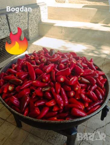 Сос/сладко от люти чушки, снимка 6 - Други услуги - 52836333