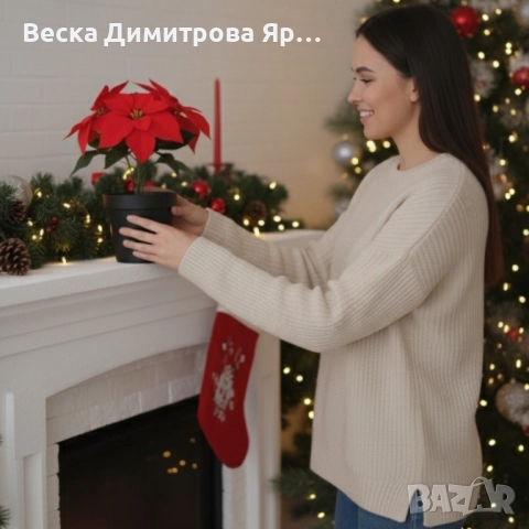 Вечна празнична Коледна звезда – реалистична украса, снимка 6 - Декорация за дома - 52587322