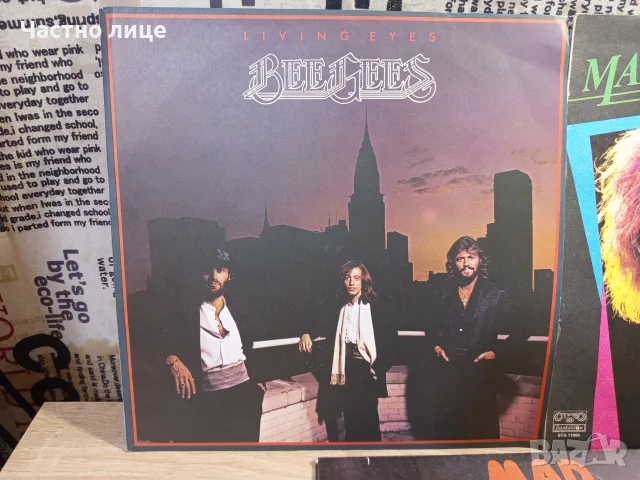 Грамофонни плочи на "Madonna"Bee Gees"28 Super Hits", снимка 2 - Грамофонни плочи - 56158897