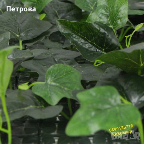 Пано със зеленина-50х50 см./декоративно пано със зеленина/пано, снимка 4 - Пана - 44163571