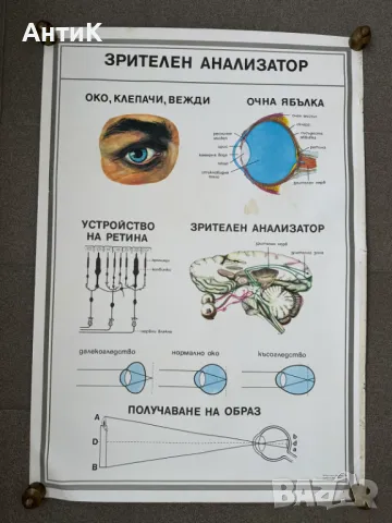 Комплект Соц Учебни Медицински Плакати, снимка 2 - Антикварни и старинни предмети - 49942165