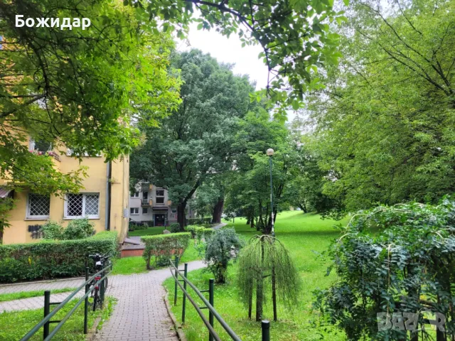 Озеленяване и ландшафтно проектиране , снимка 1