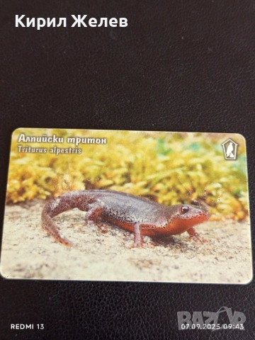 Три фонокарти серия ЖИВОТНИ АЛПИЙСКИ ТРИТОН, ТАРАЛЕЖ,ЖАБА ДЪРВЕСНИЦА 28162, снимка 8 - Други ценни предмети - 51630547