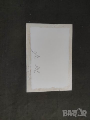 Снимки Погребението на Георги Димитров, снимка 3 - Други ценни предмети - 42394230