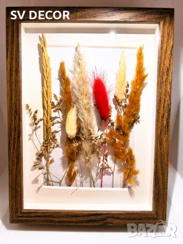 Красиви обемни рамки с декорация от суха растителност, снимка 2 - Декорация за дома - 49648819