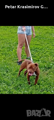 МАЯ НА 9 МЕСЕЦА!!!!