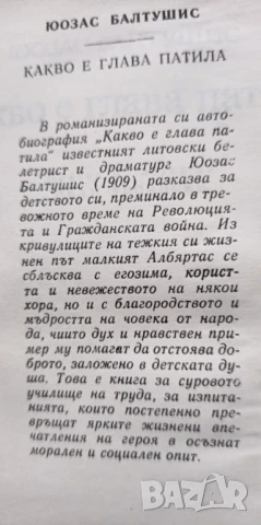 Какво е глава патила - Юозас Балтушис, снимка 3 - Художествена литература - 51279541