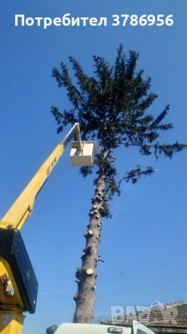 Рязане и кастрене на опасни дървета.Сaниране на сгради.Ремонт улуци и водосточни тръби.Миене на фаса, снимка 2 - Кърти, чисти, извозва - 53838655