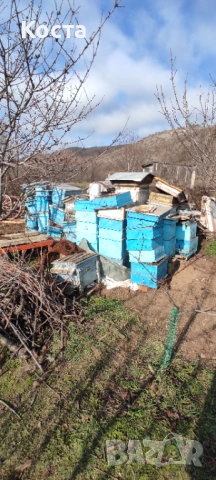 Кошери, снимка 2 - Други стоки за животни - 53188172