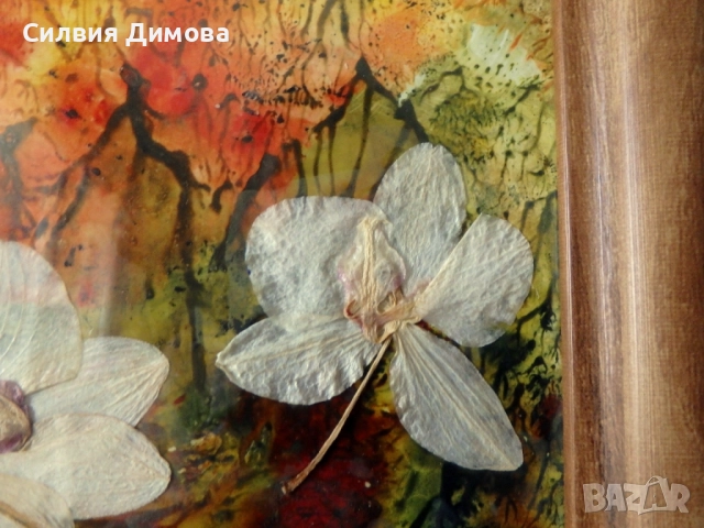 Орхидеи за подарък, снимка 7 - Ръчно изработени сувенири - 51484605