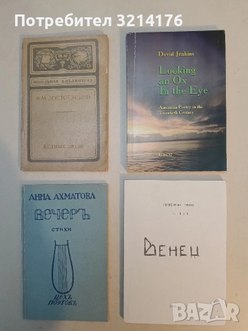 Looking an Ox In the Eye. American Poetry In the Twentieth Century - David Jenkins