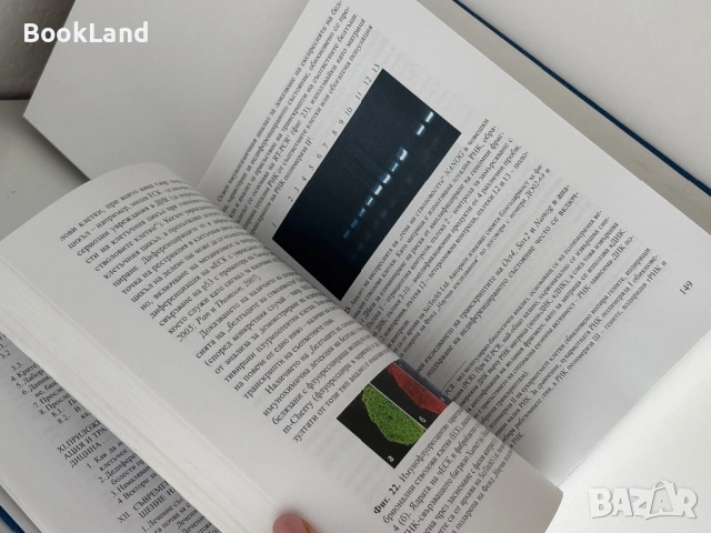 Стволови клетки – Стоян Чакъров, Румена Петкова, Румен Панков, снимка 14 - Специализирана литература - 51722572