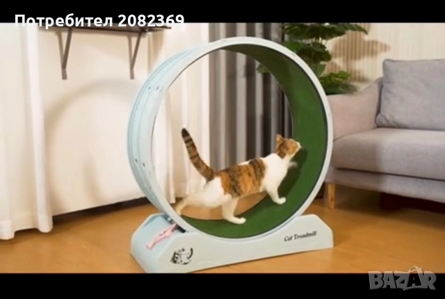 Фитнес за котки