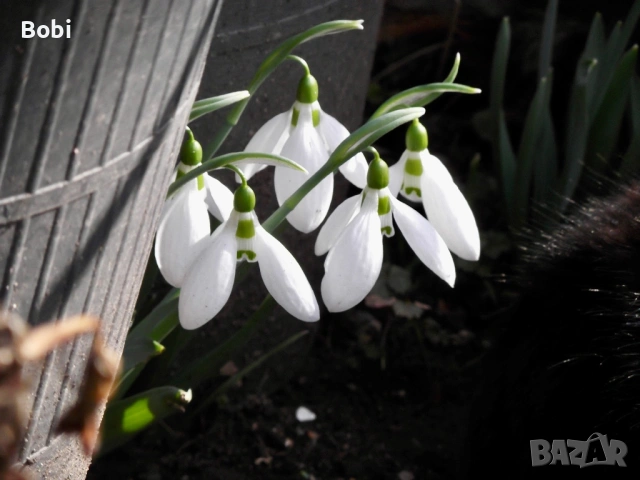 Fujifilm FinePix T210, снимка 11 - Фотоапарати - 53474756