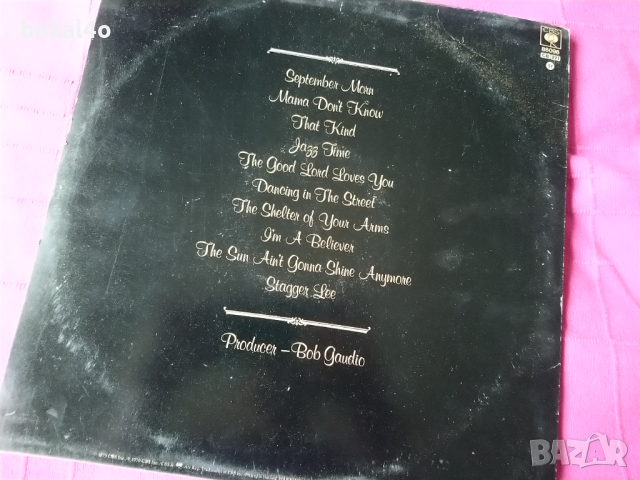 Neil Diamond - September Morn, снимка 2 - Грамофонни плочи - 44809685