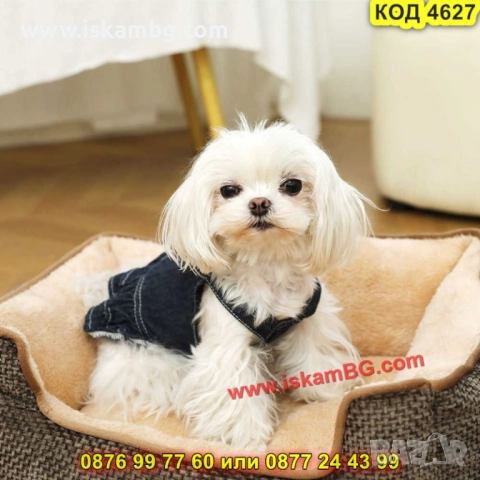 Уютно легло за домашен любимец с повдигнат борд – КОД 4627, снимка 5 - Други стоки за животни - 52716309