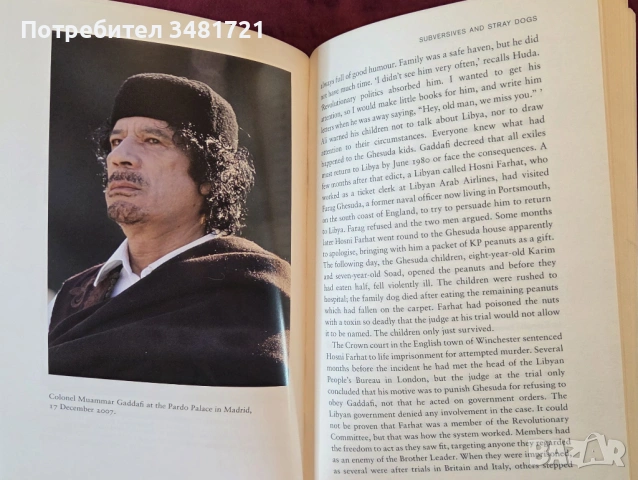 Sandstorm. Libya in the Time of Revolution, снимка 8 - Художествена литература - 53521823