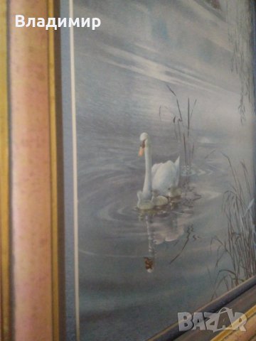 Картина с преливащ ефект при смяна на светлината, снимка 11 - Картини - 44276316