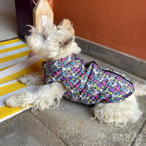 Яке за куче. Зимни дрехи за кучета. Грейка за куче. Якета за кучета. Кучешки дрехи. Елек за куче

, снимка 9 - За кучета - 33027127