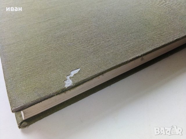 Албум "Государственный музей Эрмитаж - Француская живописXV—XVII веков" - 1973 г., снимка 13 - Енциклопедии, справочници - 35965292