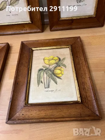 Комплект антикварни картини, 5бр., снимка 5 - Картини - 47292474