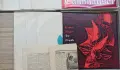 17 големи грамофонни плочи - за 10 €вро, снимка 4