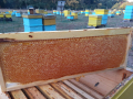 Пчелен мед, снимка 4