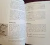 Write Your Own Egyptian Hieroglyphs, снимка 6