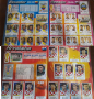 Албум ИЗГОДНО!!! PANINI FIFA WORLD CUP 2002 KOREA&JAPAN , снимка 12