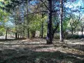 Парцел 530 кв.м сред борова гора, на 25 км от Боровец и 40 км от София, снимка 7