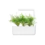 Smart Garden 3 - градина за дома в бяло, снимка 9