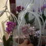 15 септември кашпи с орхидеи и бамбук в торбичка , снимка 3