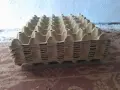 Кутийки от сирене и кори от яйца, снимка 5