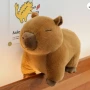 Плюшена играчка Капибара Реалистична 30см, плюшени играчки Capybara, снимка 3