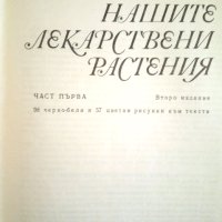 Нашите лекарствени растения, снимка 2 - Енциклопедии, справочници - 41482108