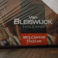 VAN BLEISWIJCK - Комплект от 3 броя Платна за рисуване, снимка 6 - Картини - 41037677