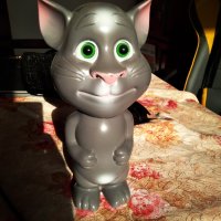 За части ТОМ НА БЪЛГАРСКИ ЕЗИК -TALKING TOM, снимка 1 - Музикални играчки - 41970115