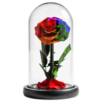 Омагьосаната роза – лимитирано издание Вечна роза - Цветна радост в подаръчна опаковка, снимка 3 - Декорация за дома - 44558763