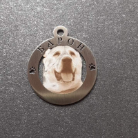 медальон за домашен любимец, снимка 2 - За кучета - 44639954