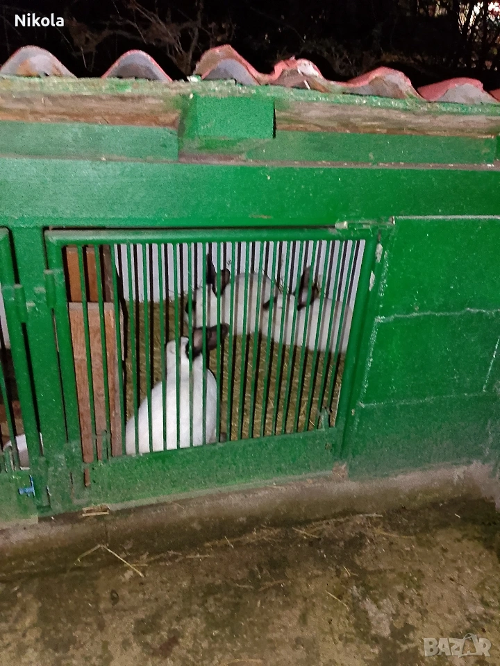 продавам, снимка 1