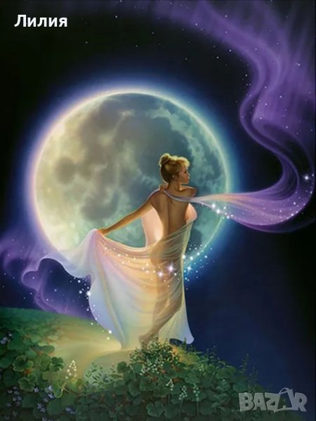 5D  Диамантени гоблени, снимка 1