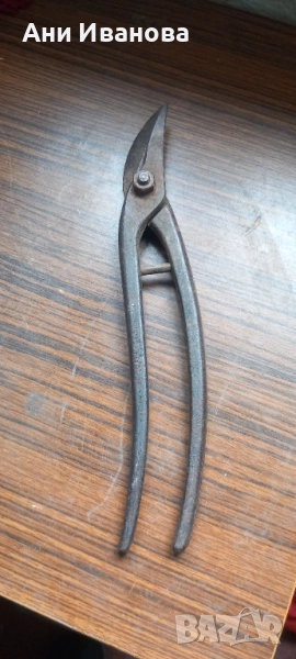 ножица на РИЗО, снимка 1