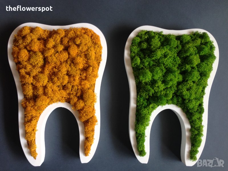 Подарък - За зъболекар и зъботехник - зъб със скандинавски мъх, снимка 1