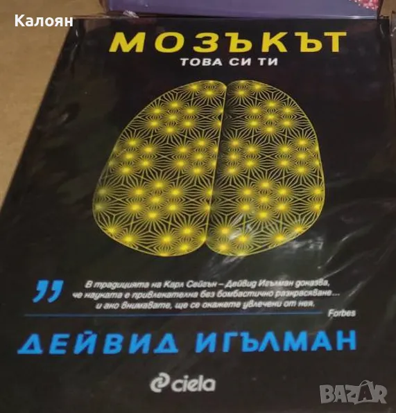 Дейвид Игълман - Мозъкът. Това си ти (2017), снимка 1