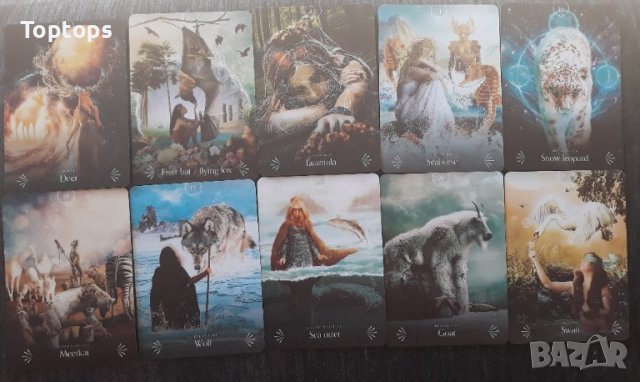 Оракул карти с животни: Divine Animals Oracle & Spirit Animal Wisdom & Whispers of the Ocean, снимка 11 - Карти за игра - 42292933