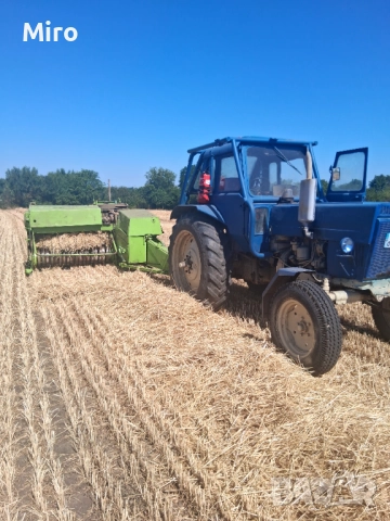 Малки Бали слама, снимка 2 - Други стоки за животни - 51611336