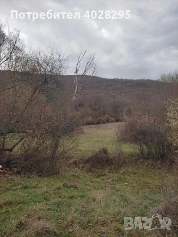 Имот в с.Габер, община Драгоман , снимка 4 - Парцели - 53387489