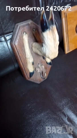 закачалки с еленско краче, снимка 7 - Закачалки - 53594229