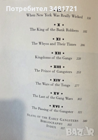 Бандите на Ню Йорк - неофициалната история на подземния свят / The Gangs of New York. An Informal Hi, снимка 3 - Художествена литература - 53748108