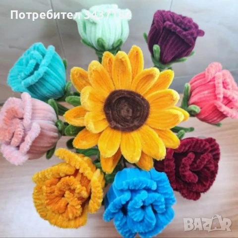 Цветни и бюджетни 